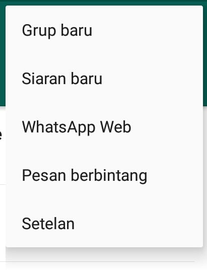 Cara Mencegah WhatsApp Download Otomatis