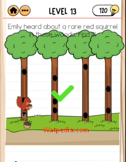 Brain Test 2 Emily’s Farm Level 13 Emily heard about a rare red squirrel in these woods. Find it!