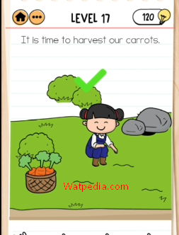 Brain Test 2 Emily’s Farm Level 17 It is time to harvest our carrots