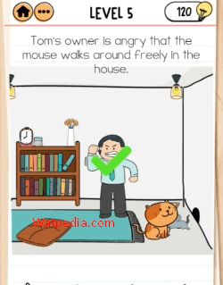 Brain Test 2 Tom’s Adventure Level 5 Tom’s owner is angry that the mouse walks around freely in the house