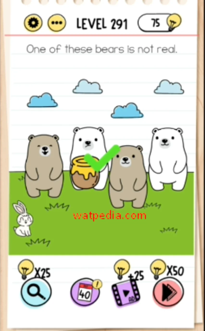 Brain Test Level 291  One of these bears is not real