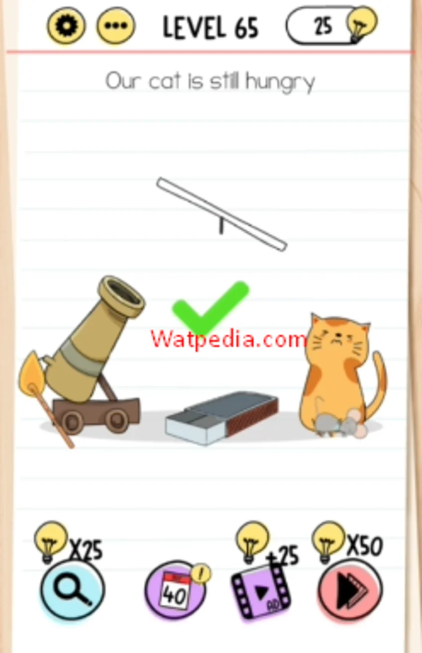 Brain Test Level 65 Our cat still hungry