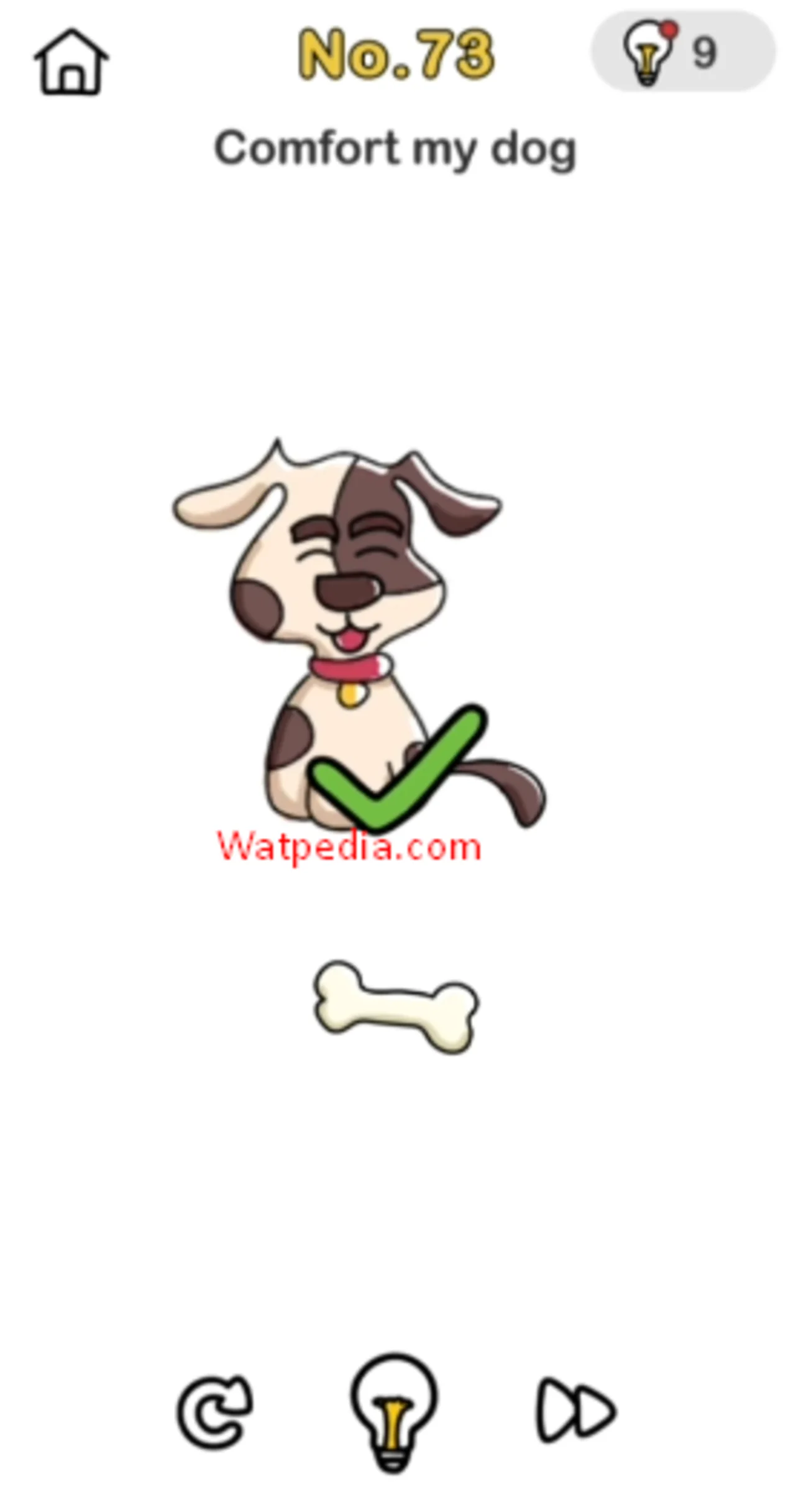 BRAIN OUT Level 73 COMFORT MY DOG